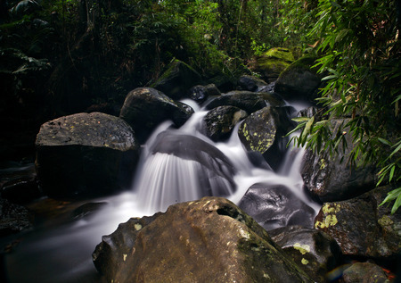 waterfall in the forestの写真素材
