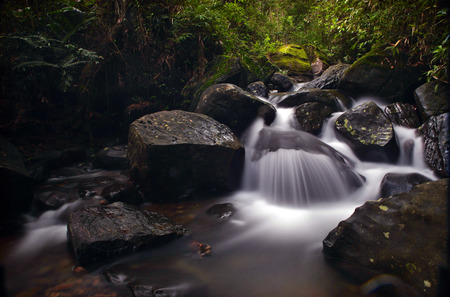 waterfall in the forestの写真素材