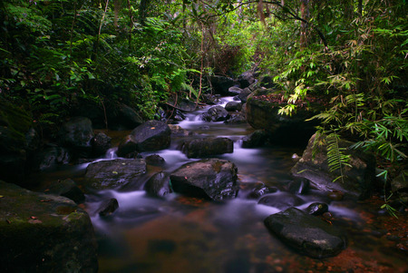 stream through the forestの写真素材