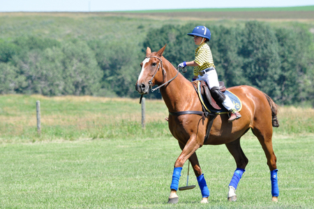Polo at the Bar U Ranch, July 24, 2011のeditorial素材