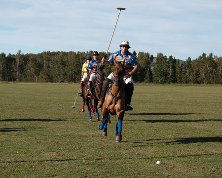 Polo at the Black Diamond Polo Club, September 3rd  and 4th, 2011のeditorial素材