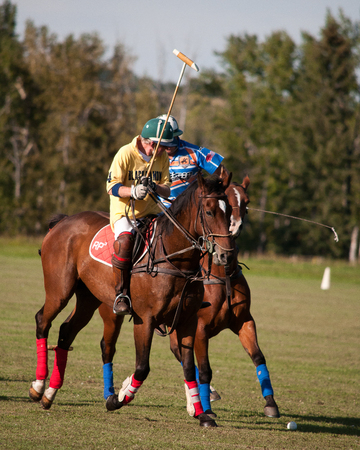 Polo at the Black Diamond Polo Club, September 3rd  and 4th, 2011のeditorial素材