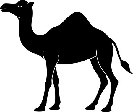 Silhouette of a camel on a white background, vector illustrationのイラスト素材