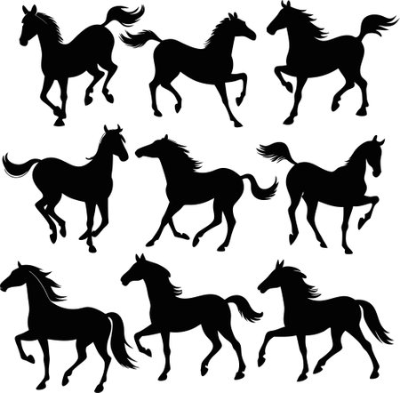 Set of black horses silhouettes isolated on white background. Vector illustration.のイラスト素材