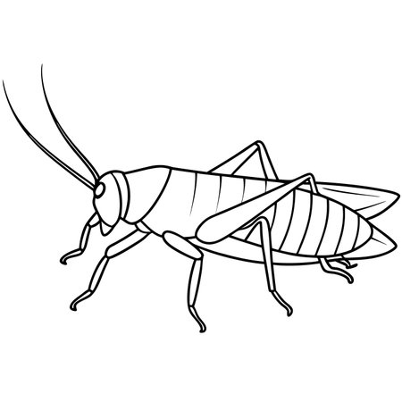 Cricket insect icon. Vector illustration of a cricket insect.のイラスト素材