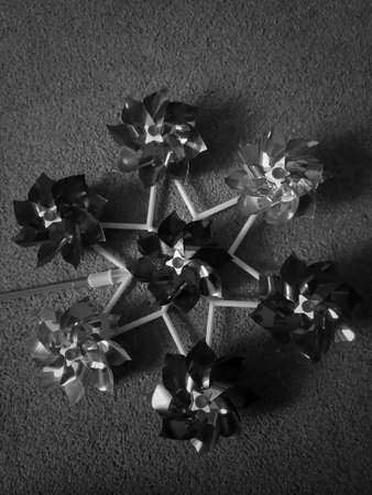Black and white photo of a group of pinwheels on a gray backgroundの写真素材
