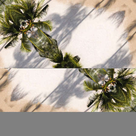 Palm trees with shadow on the wall. 3D rendering.の写真素材