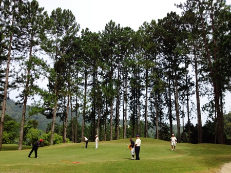 Golfers in actionの素材