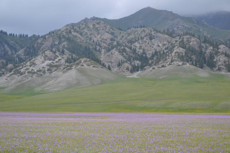 mountain