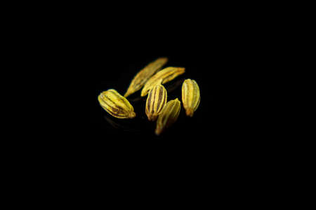 Cumin seeds on black background very closeup picture