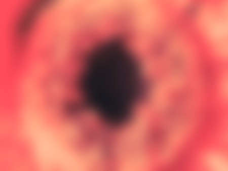 flower macro photo gaussian blurred background