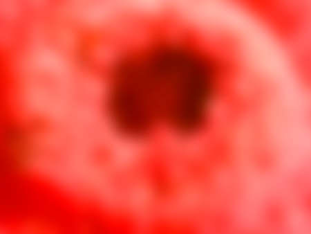 flower macro photo gaussian blurred backgroundの写真素材