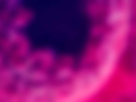 flower macro photo gaussian blurred background