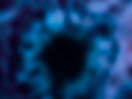 flower macro photo gaussian blurred backgroundの写真素材