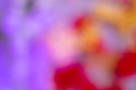 floral decoration for wedding event blur background out of focus bokeh photographyの写真素材