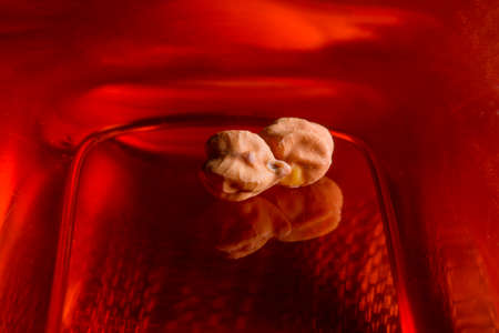Whole chickpeas Indian chana placed on a red reflective glass macro photography