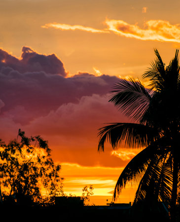 Silhouette of an urban city, tree and beautiful cloud formation at sunset landscape photographyの写真素材