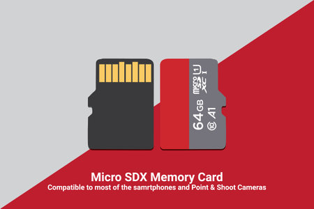 Micro SDX memory card realistic hand drawn vector illustration artのイラスト素材