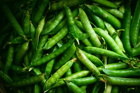 A close-up view of fresh green peas in their pods, creating a vibrant natural texture and highlighting healthy eating. Ideal for themes of organic food, freshness, and healthy lifestyles.の写真素材