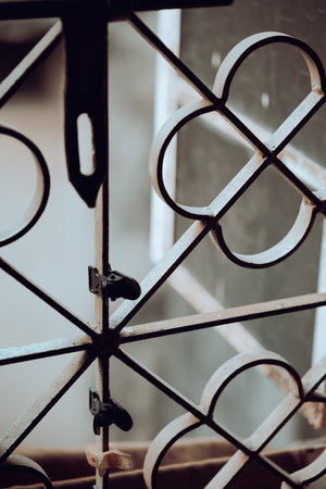 Detailed image depicting a metal lattice structure featuring small clips, set in natural light. Highlights architectural elements and their interaction with everyday objects, blending textures and patterns.の写真素材