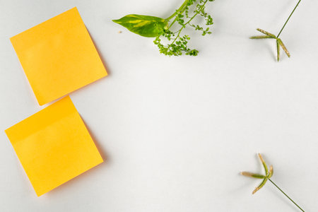 Two yellow sticky notes placed on a white background alongside green leaves enhance the minimalist...