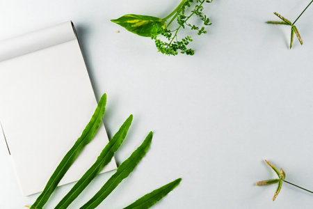 Notebook displayed alongside green plants and leaves, set against a clean white backdrop,...