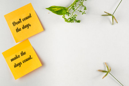Bright yellow sticky notes with motivational text, framed by greenery on a plain background inspire productivity and positivity.の写真素材