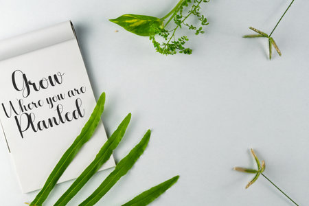 An inspiring message on a notepad, surrounded by vibrant green leaves, symbolizes growth and positivity, set on a clean white background. Suitable for motivation, mindfulness, and lifestyle themes.の写真素材