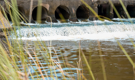 Serene and steady water flowing over a concrete structure, surrounded by lush greenery, showcasing the beauty of nature's interaction with engineered structures, perfect for environmental or industrial concepts.の写真素材