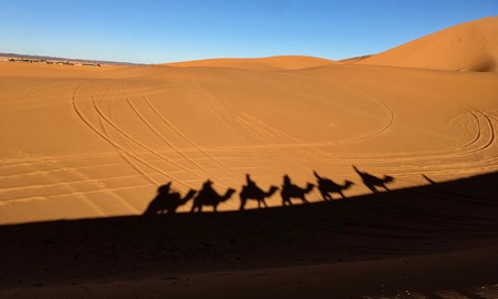 The shadows of the camels caravan on the hot sand from the sahara desertの写真素材