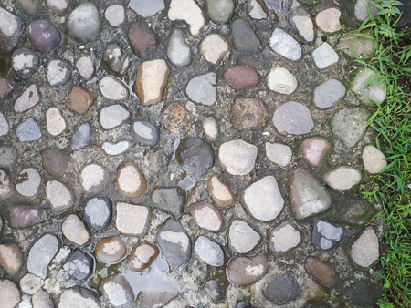rock pavement with grassの写真素材