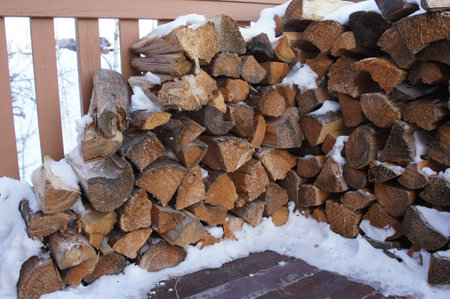Firewood in Snow