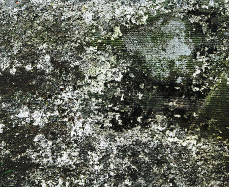 old molded wall texture or backgroundの写真素材