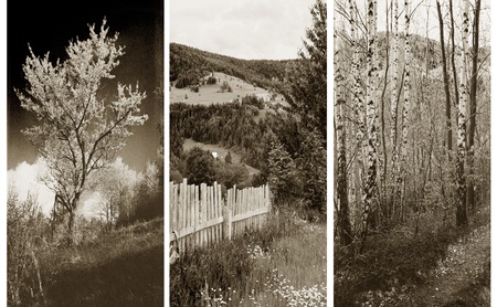 old traditional photography - Rural views, triptychの写真素材