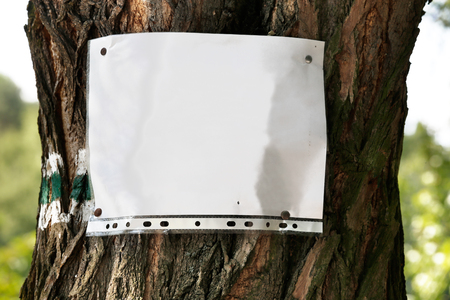 white paper page in foil hanging on a tree as your own project design elementの写真素材