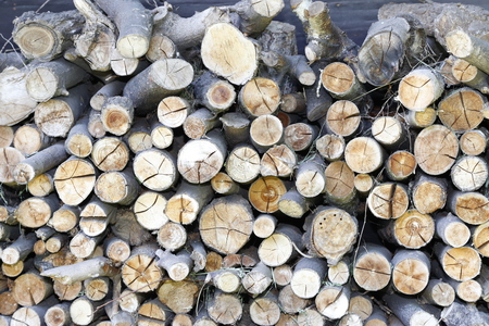 wood rings as natural abstract background, stump stack pine wood trunks