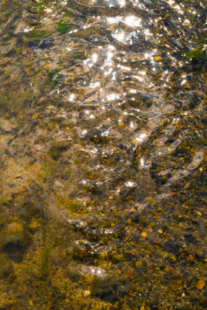 Seabed at low tide, clear water running over cockles, shells and stones with sparkles. Water with sparkles, pebbles seabed, crystal clear rippled water.の写真素材
