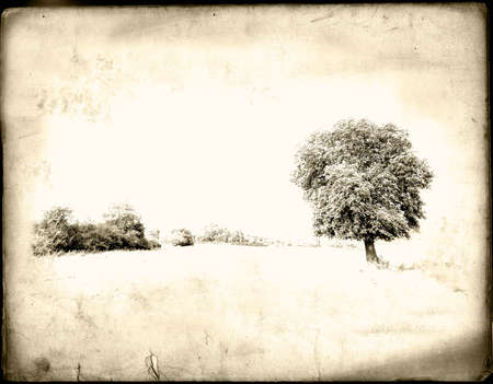 Old shabby postcardの写真素材