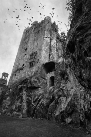 Blarney Castle, Irelandの写真素材