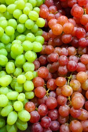 Purple and green grapes