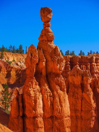 The Bryce Canyon National Park, Utah, United Statesのeditorial素材