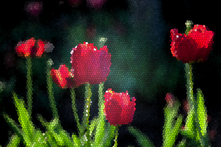 Spring background with fresh  tulips in bloomの写真素材