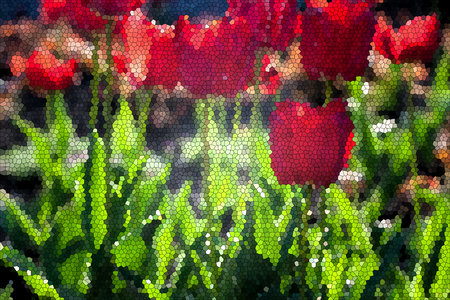 Spring background with fresh  tulips in bloomの写真素材