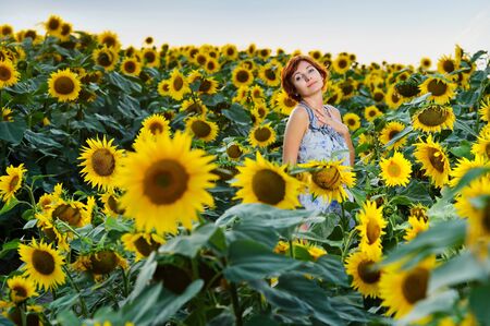 young beautiful woman on blooming sunflower field in summerの写真素材