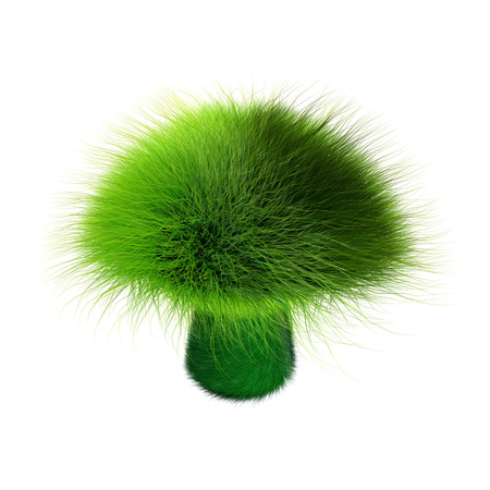 Green fur mushroomの写真素材