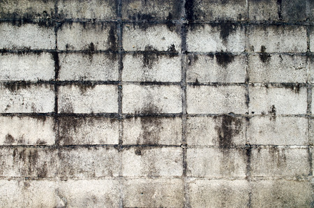 The Fragment of The Stone Wall.の写真素材