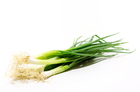 Spring Onion Isolated on White Background.の写真素材