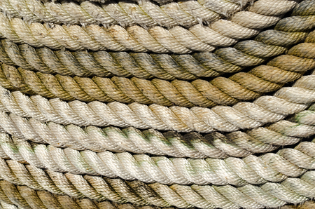 Close up Marine Rope Coil.の写真素材