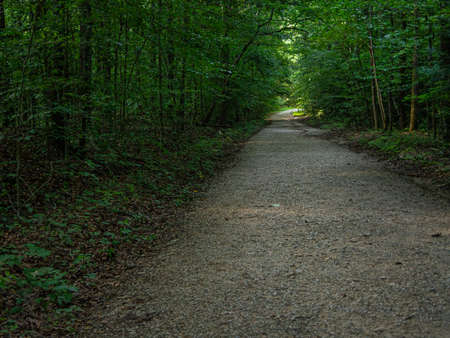 straight gravel trail going through heavy woods in summer with light at the end of a tunnel of greenの写真素材
