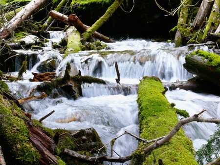 Cascading mountain stream